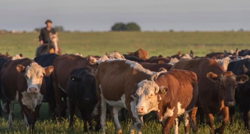 Presenta Asociación Rural de Gral Vte