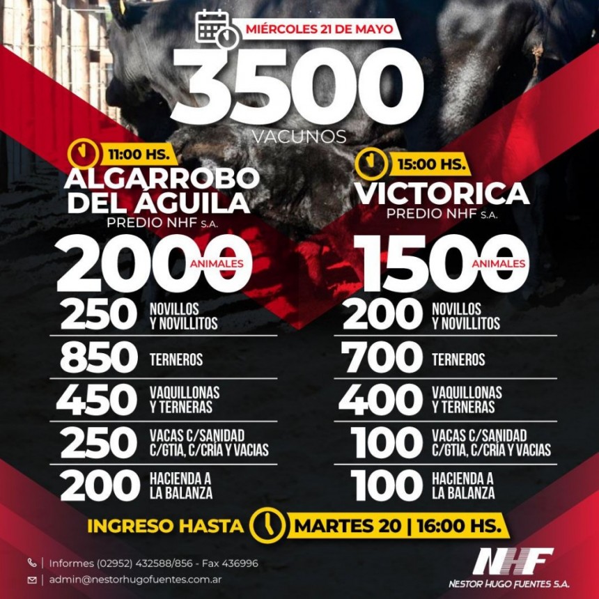 Información importante para el sector ganadero. Remates Feria