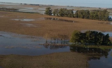 De 600 a 900 mms la lluvia caída en el primer semestre del año