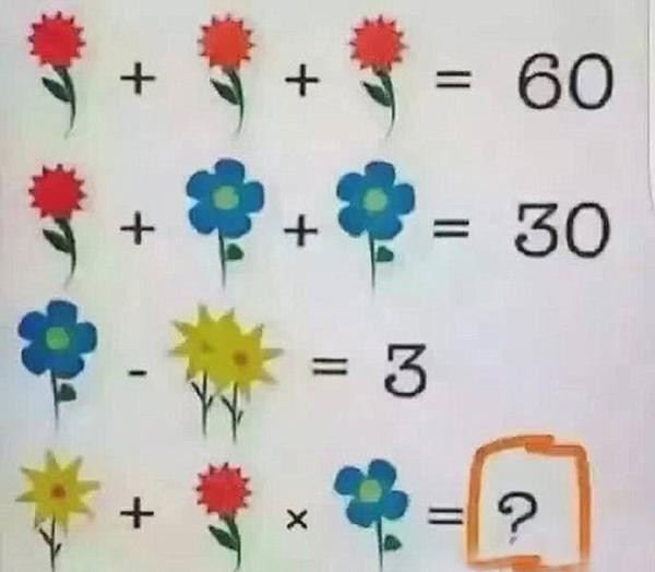 La solución a la ecuación matemática de las flores que enloquece a internet