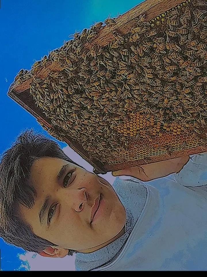 Nuestros apicultores endulzan nuestro territorio