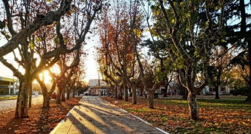 Nuestra regiòn  tuvo su otoño más cálido en 60 años