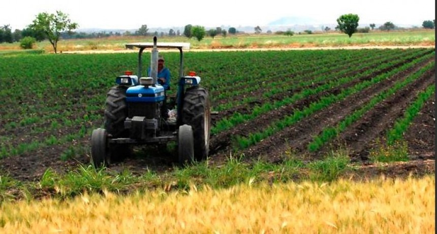 El desafío de aumentar la productividad y la competitividad del agro