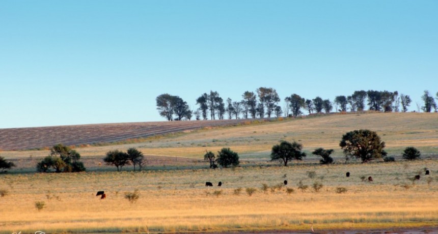 Presenta Asociación Rural de Gral Vte