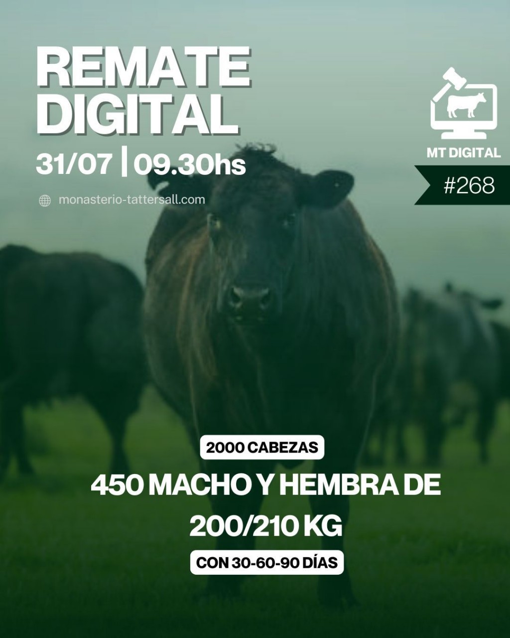 Jueves 31/07 Remate por streaming 9:30 Hs