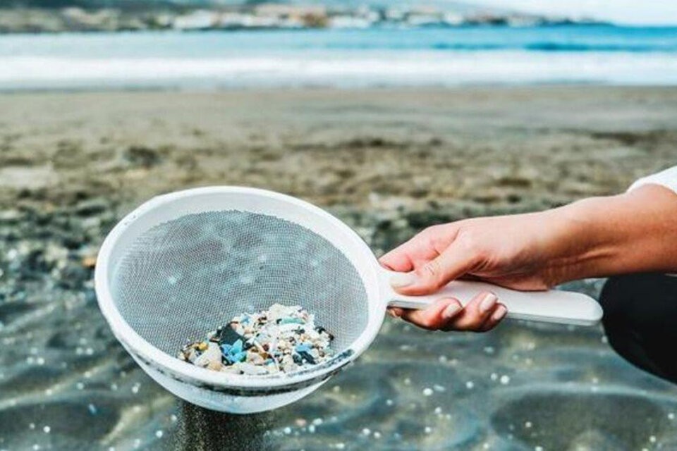 El Mar Argentino sería uno de los lugares más contaminados por microplásticos en el mundo