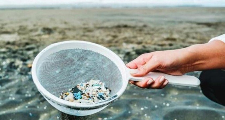 El Mar Argentino sería uno de los lugares más contaminados por microplásticos en el mundo