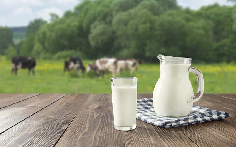 Exportaciones: caen las exportaciones de lácteos en el primer semestre del año