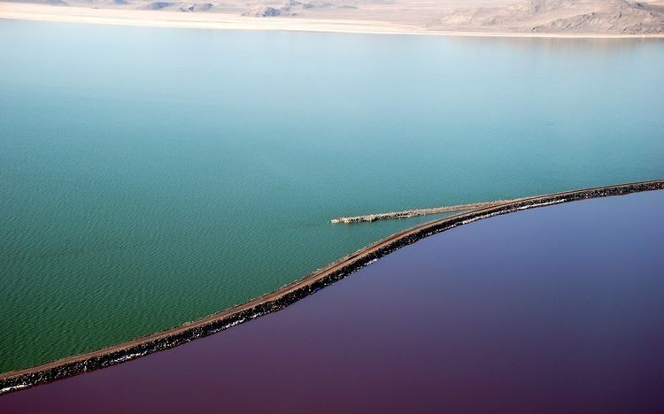 ¿Por qué este lago es mitad rosado y mitad verde