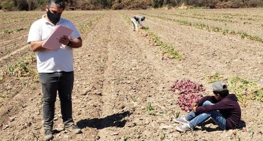 Otra vez detectaron trabajo infantil prohibido en un establecimiento hortícola de Santiago del Estero