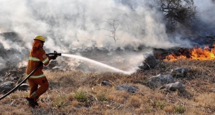 Ocho provincias registran focos activos de incendios forestales