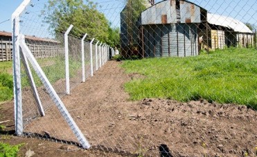 Hecho vándalico. En el ex predio de la Cooperativa Agropecuaria