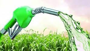 Maizar el recordó al Gobierno que el bioetanol puede ser ‘el remedio para la ecasez de nafta’
