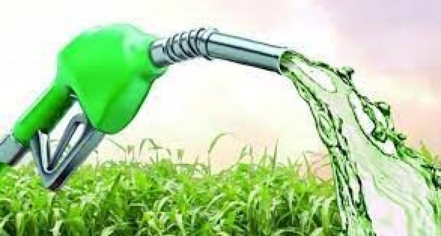 Maizar el recordó al Gobierno que el bioetanol puede ser ‘el remedio para la ecasez de nafta’