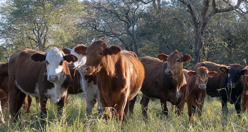 Presenta Asociación Rural de Gral Vte