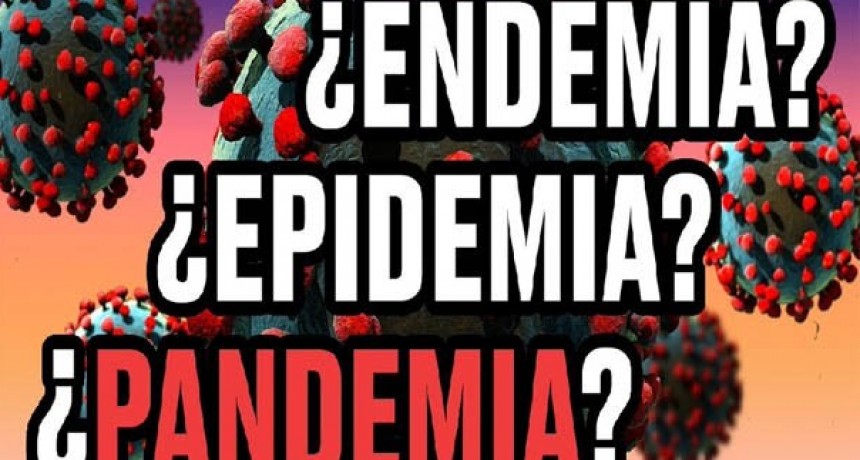 ¿Pandemia, epidemia o sindemia? por Carlos Vilchez Navamuel