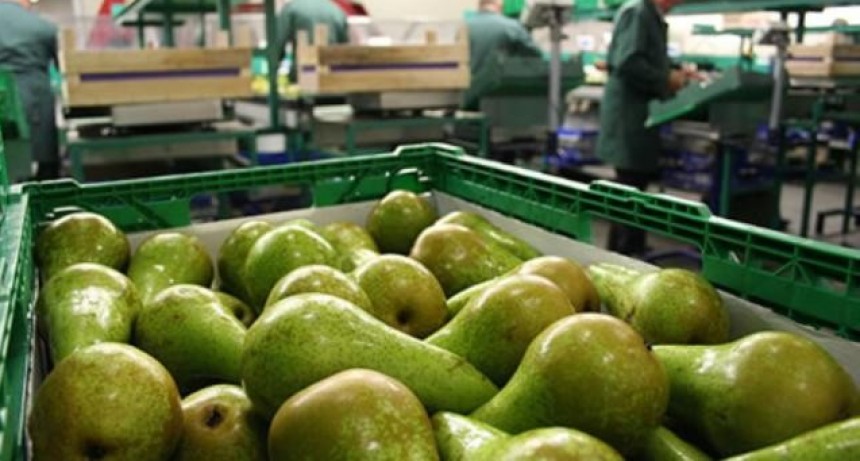 Por qué en breve los argentinos volverían a tener que comer peras y manzanas de Chile