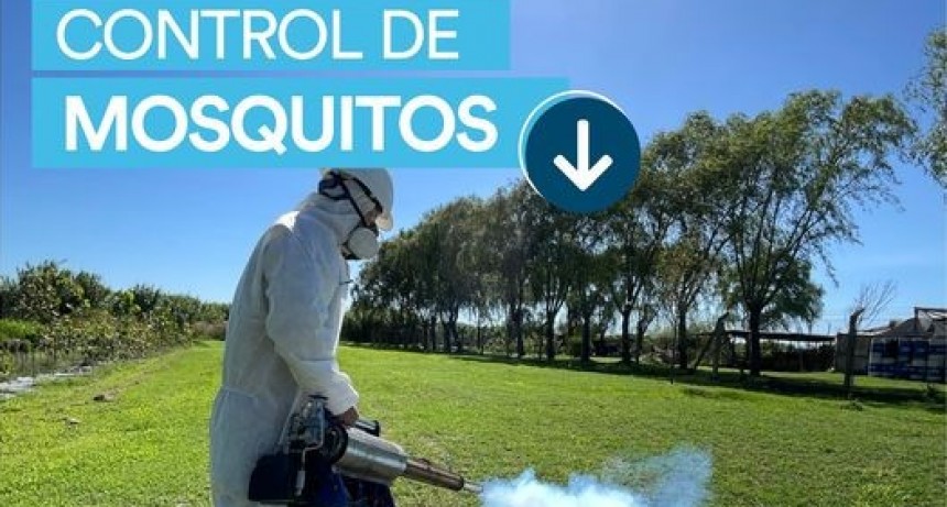 Campaña para control de mosquitos