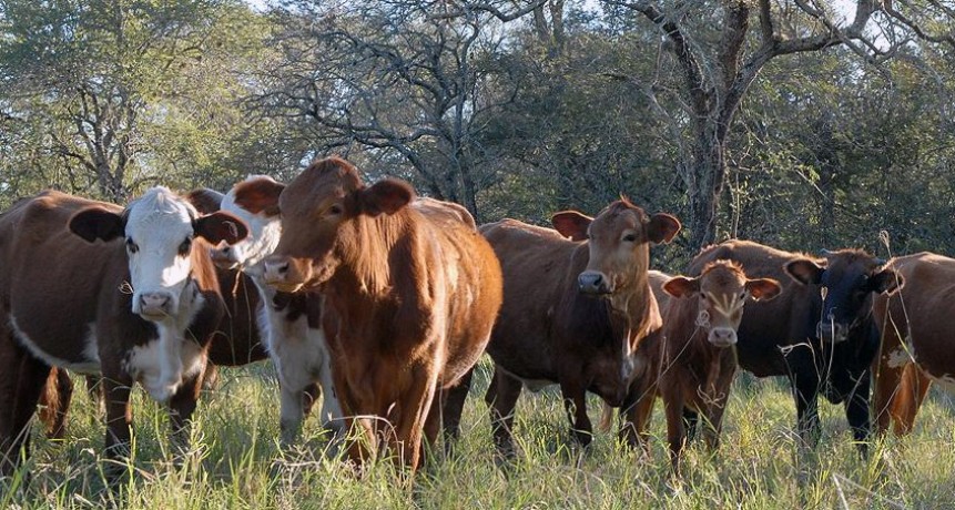 Presenta Asociación Rural de Gral Vte