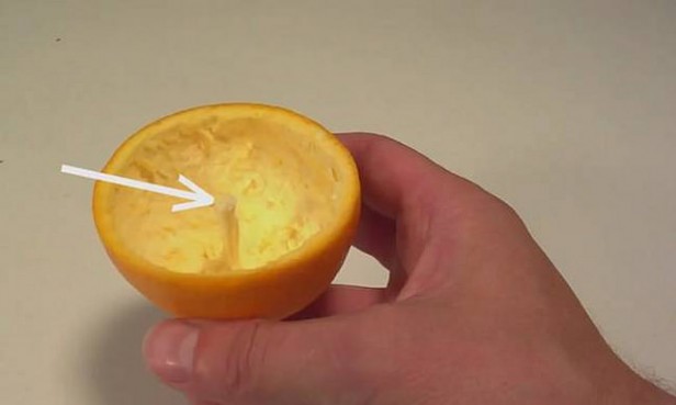 ¿Sabías que puedes hacer una vela con una cascara de naranja?. Te enseñamos como