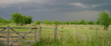 Registros de lluvias en la zona