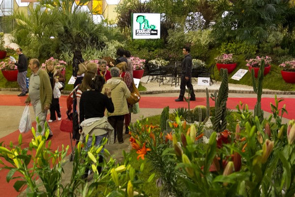 Gran Expectativa por la elección de la 50va Reina Nacional de la Flor